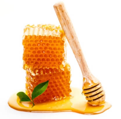 Bienenprodukte und Apitoxin