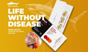 Shark Motion – Kapseln für gesunde Gelenke mit Bio-Zusammensetzung! Was denken Kunden über das Produkt?
