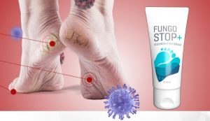 FungoStop – Die Creme für gesunde Füße! Meinungen und Preis?