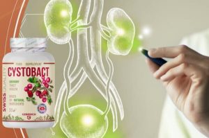 Cystobact Preis, Erfahrungen, Anwendung, Wirkung 2025