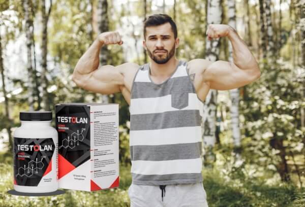 Testolan Preis in Deutschland & Bezugsquellen Testolan Preis in Deutschland & Bezugsquellen